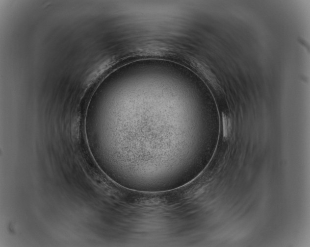 X0000097590675200803071321