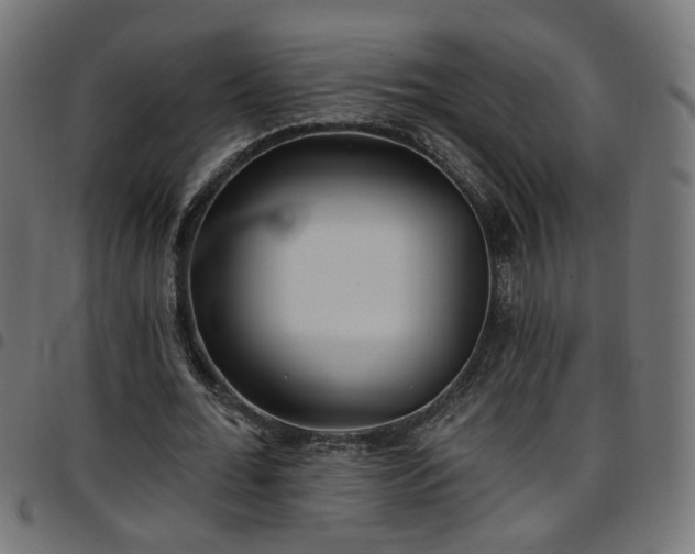 X0000097590676200803071321