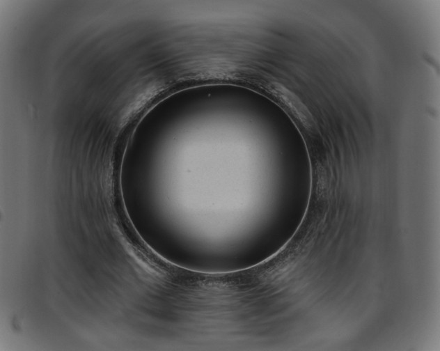 X0000097590677200803071321