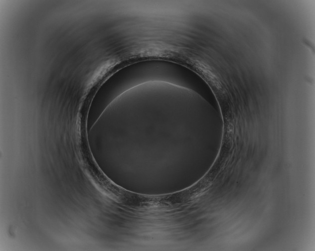 X0000097590678200803071321