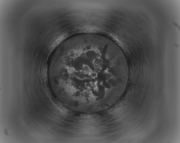 X0000097590679200803071321