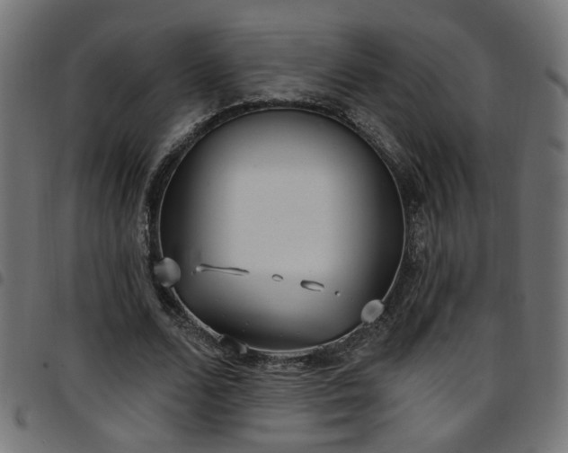 X0000097590680200803071321