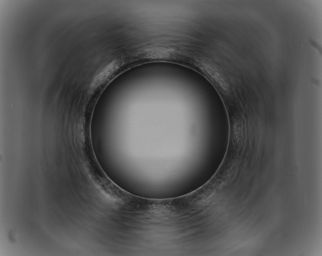 X0000097590682200803071321