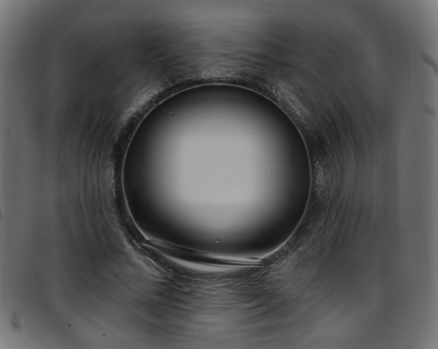 X0000097590684200803071321