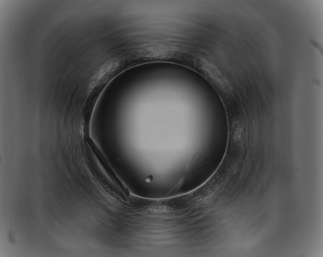 X0000097590685200803071321