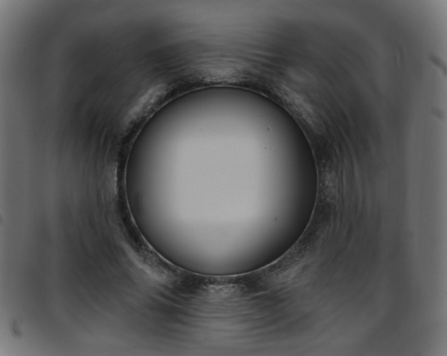 X0000097590686200803071321