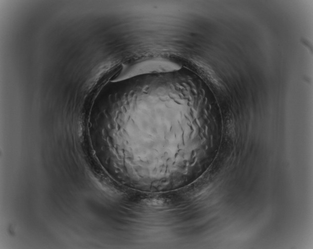 X0000097590687200803071321