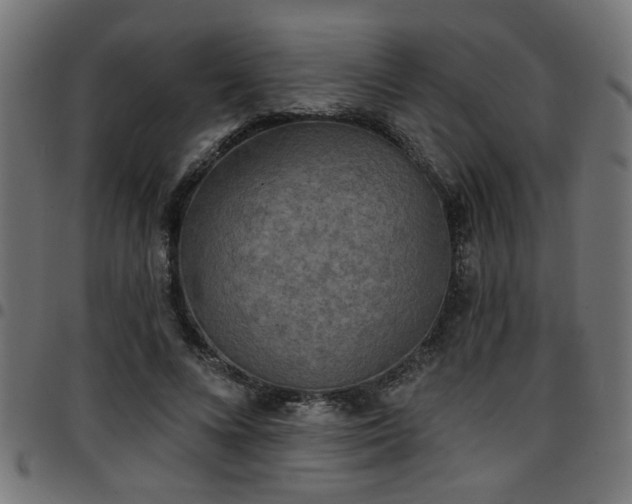 X0000097590688200803071321