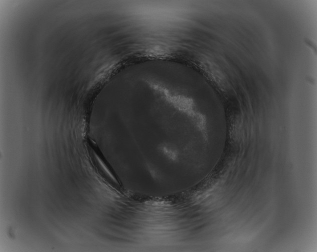 X0000097590689200803071321