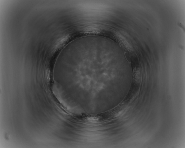 X0000097590692200803071321