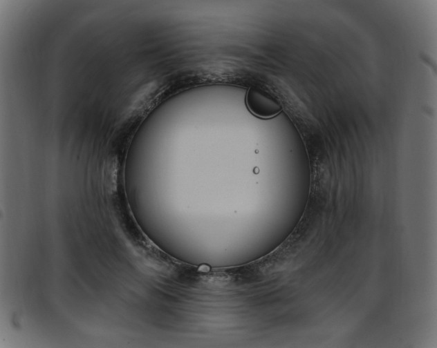 X0000097590694200803071321