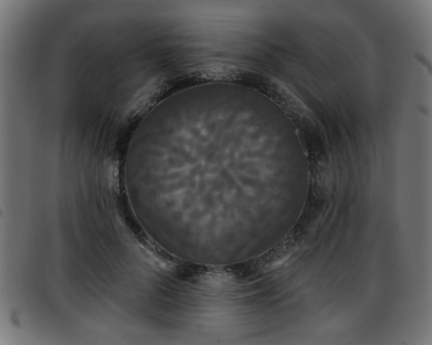 X0000097590696200803071321