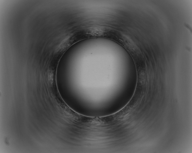 X0000097590697200803071321