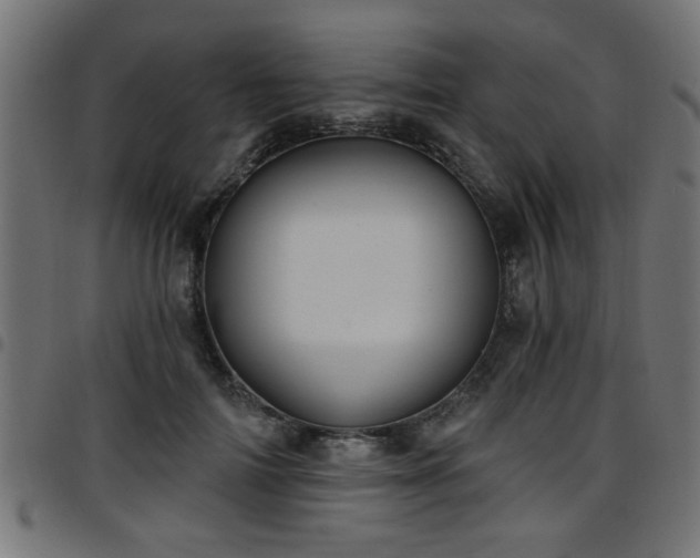 X0000097590698200803071321