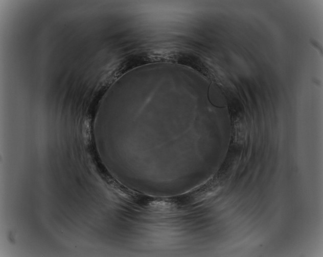 X0000097590699200803071321