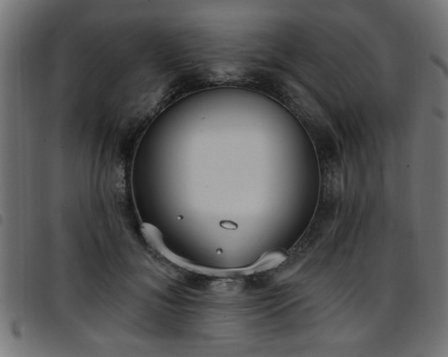 X0000097590700200803071321