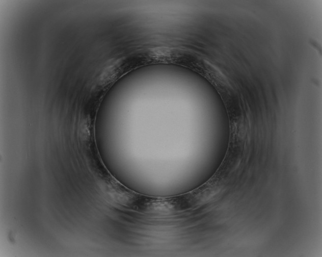 X0000097590702200803071321