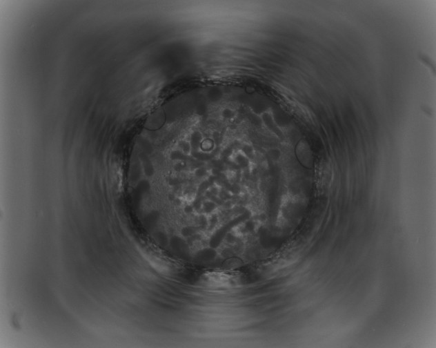 X0000097590703200803071321