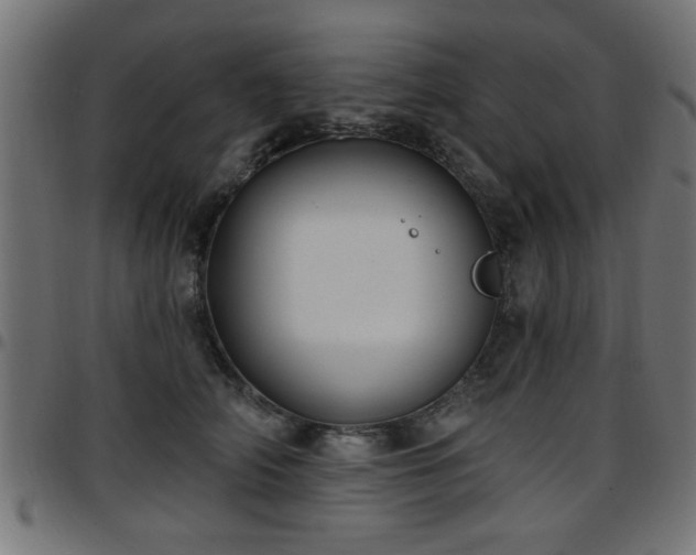 X0000097590706200803071321