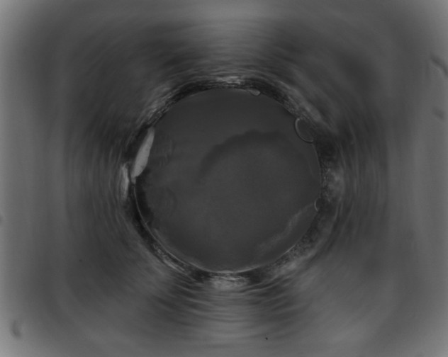 X0000097590707200803071321