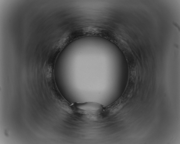 X0000097590708200803071321