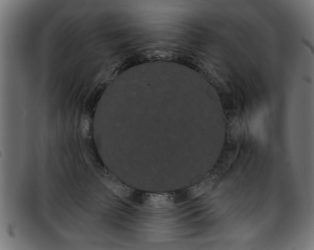 X0000097590709200803071321