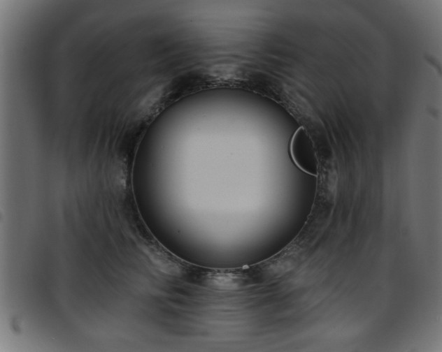 X0000097590710200803071321