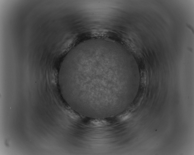 X0000097590712200803071321