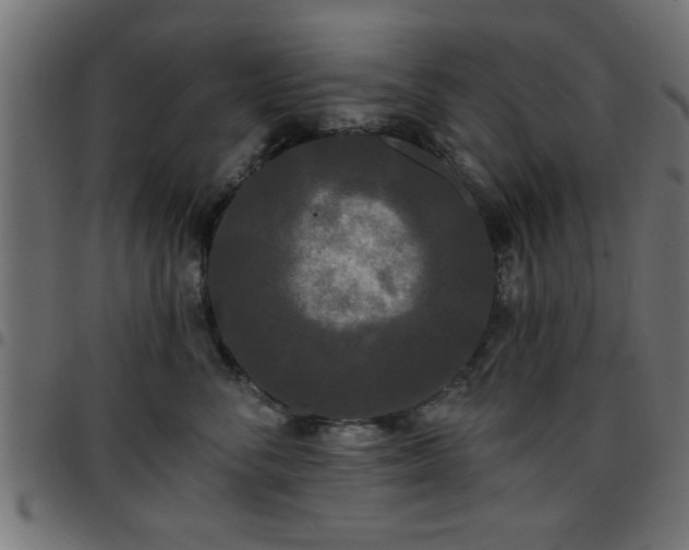 X0000097590716200803071320