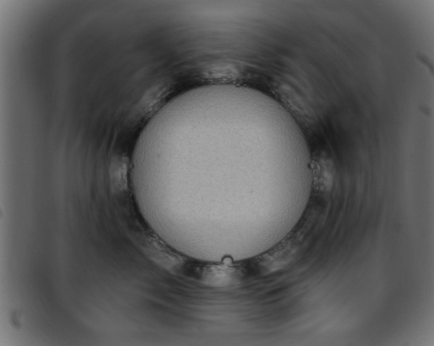 X0000097590717200803071320