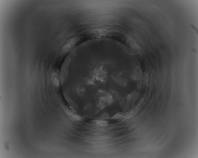 X0000097590719200803071320