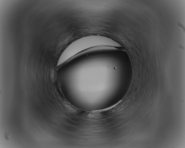 X0000097590720200803071320