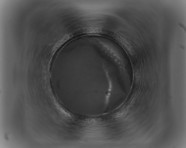 X0000097590721200803071320