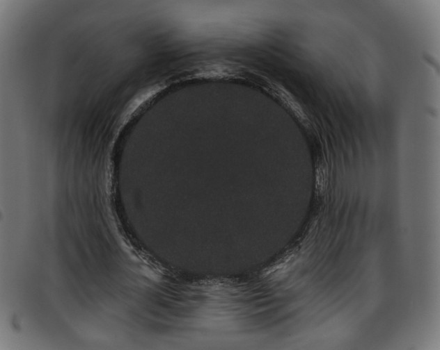 X0000097590724200803071320