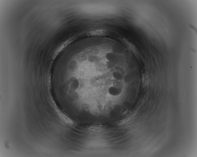 X0000097590725200803071320