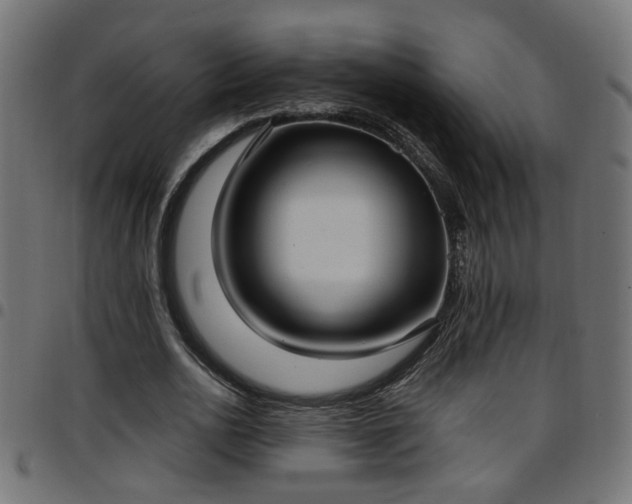 X0000097590726200803071320