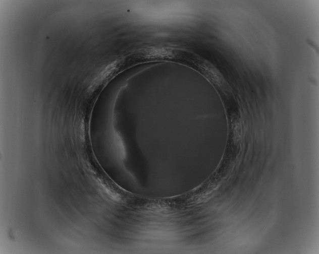 X0000097590729200803071320