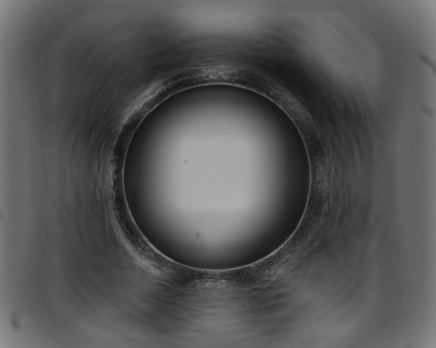 X0000097590730200803071320