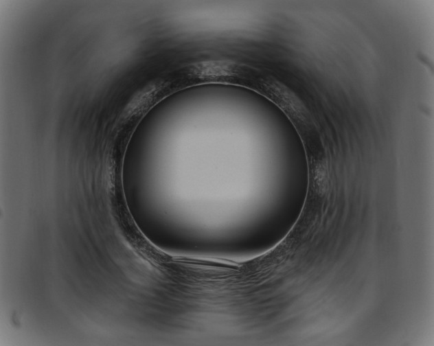 X0000097590732200803071320