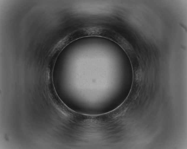 X0000097590733200803071320