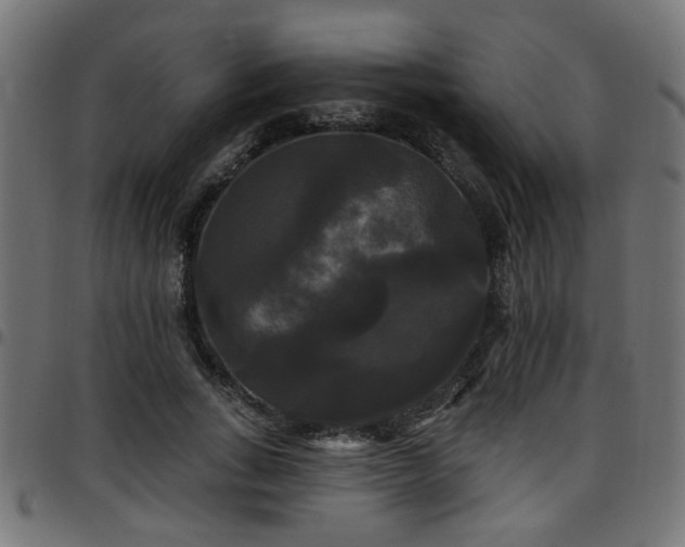 X0000097590735200803071320