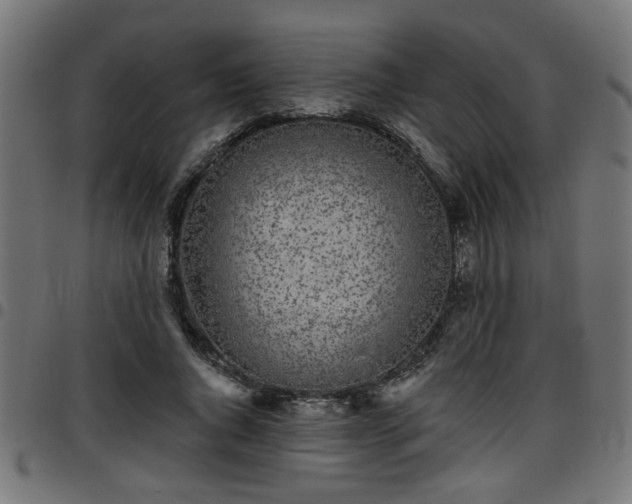 X0000097590736200803071320