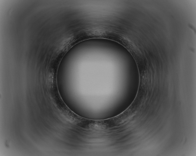 X0000097590739200803071320