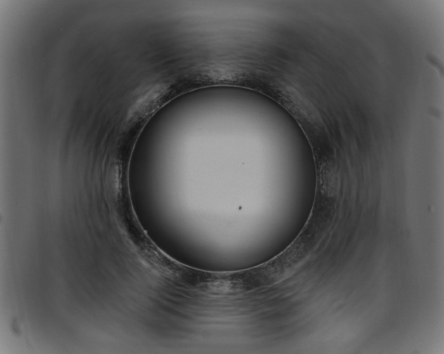 X0000097590740200803071320