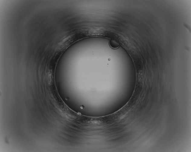 X0000097590741200803071320