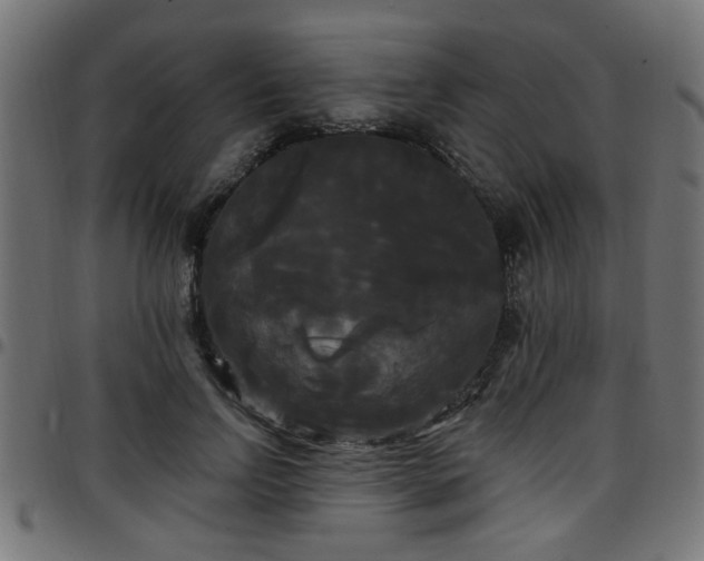 X0000097590742200803071320