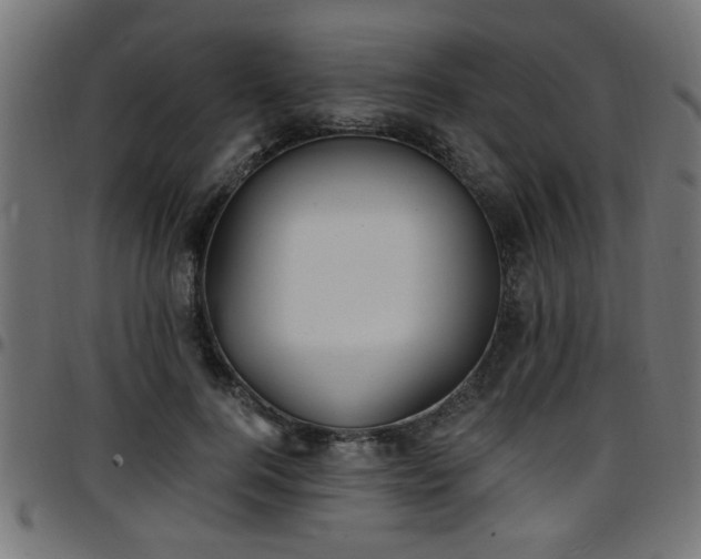 X0000097590744200803071320