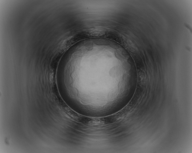 X0000097590745200803071320