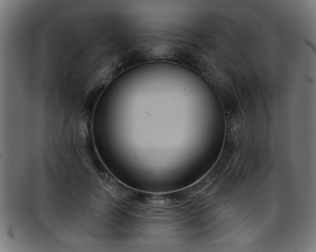 X0000097590746200803071320