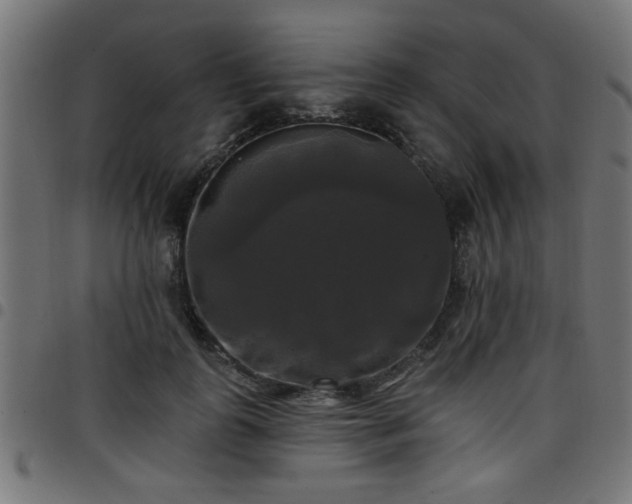 X0000097590747200803071320